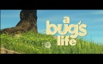 A Bug's Life