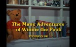 The Many Adventures Of Winnie The Pooh