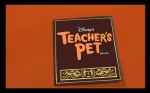 Teacher's Pet